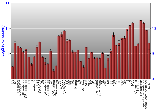 Expression graph