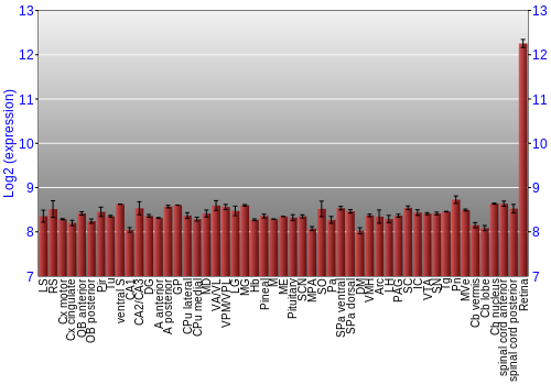 Expression graph
