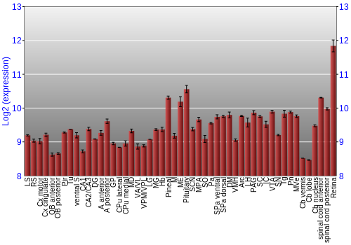 Expression graph
