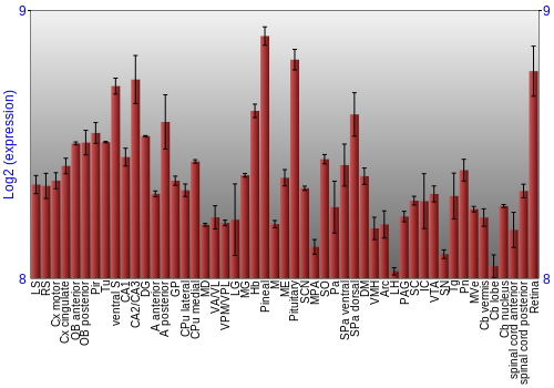 Expression graph