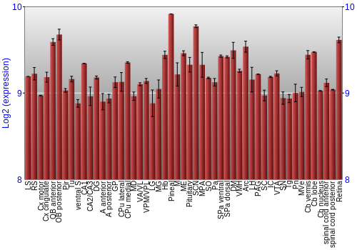 Expression graph