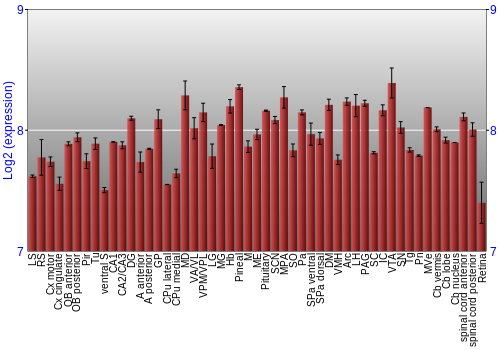 Expression graph