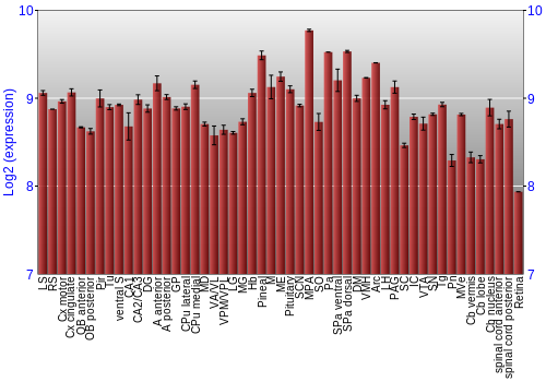 Expression graph