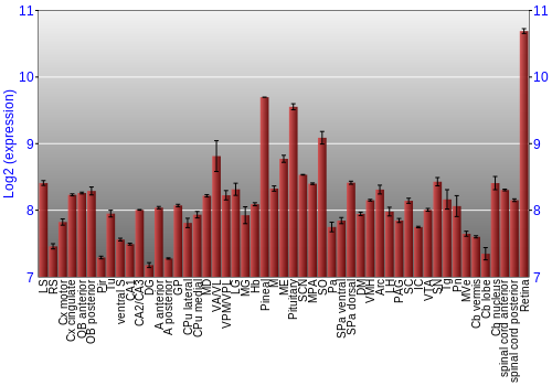 Expression graph
