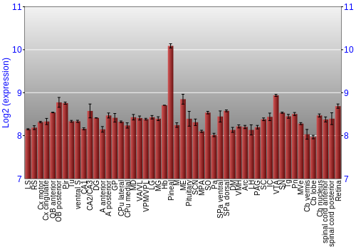 Expression graph