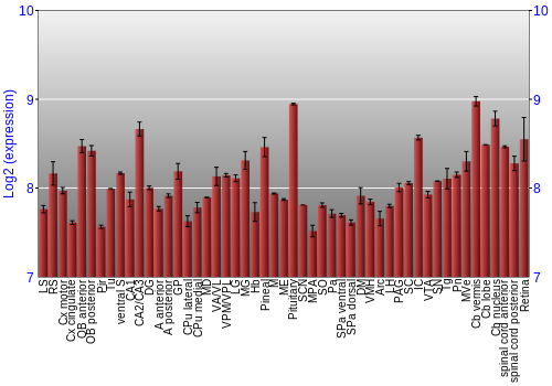 Expression graph