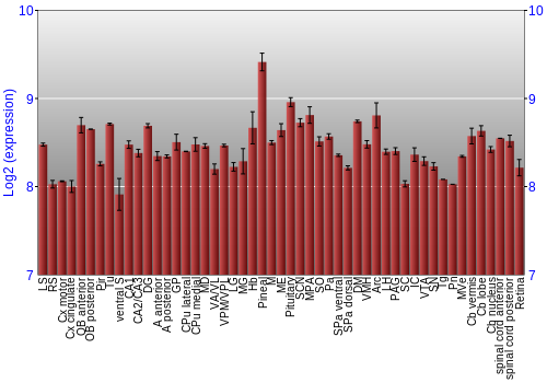 Expression graph