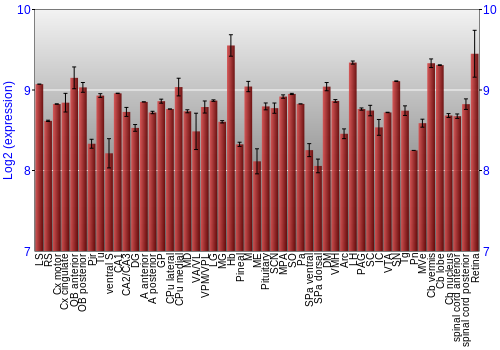 Expression graph