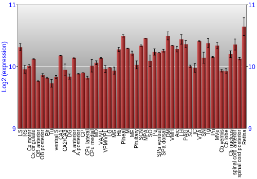Expression graph