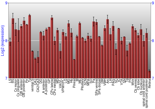 Expression graph