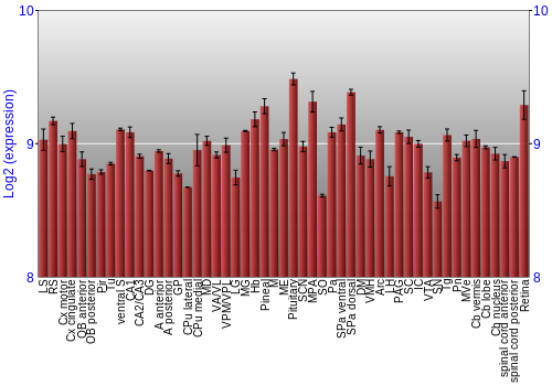 Expression graph