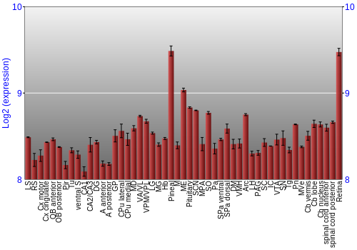 Expression graph