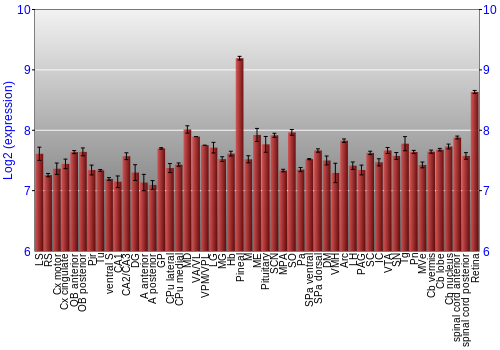Expression graph
