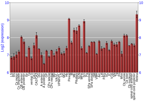 Expression graph