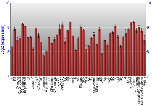 Expression graph