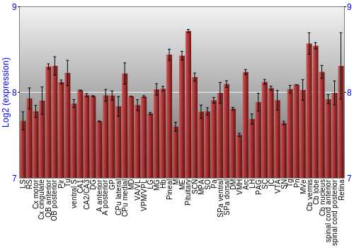Expression graph