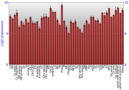 Expression graph