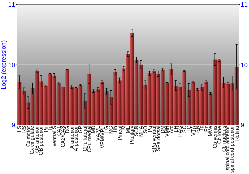 Expression graph