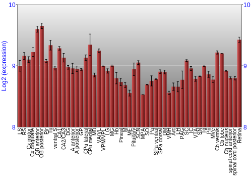 Expression graph