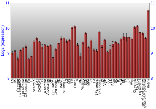 Expression graph