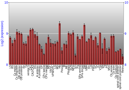 Expression graph