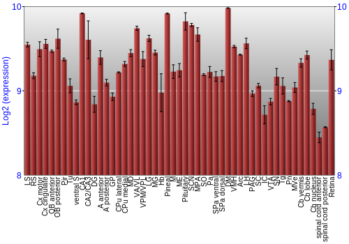 Expression graph