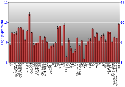 Expression graph