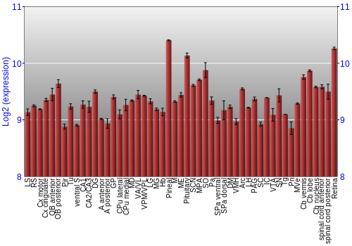 Expression graph