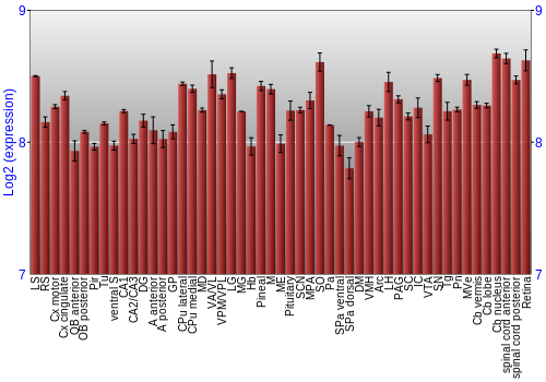 Expression graph