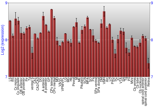 Expression graph