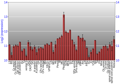 Expression graph