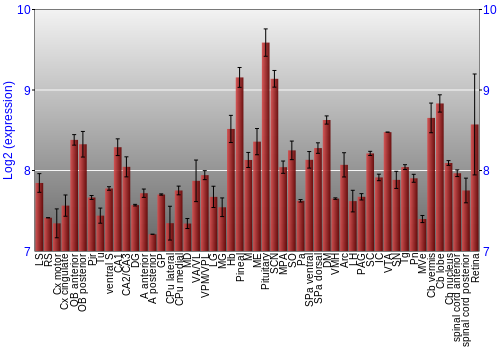 Expression graph