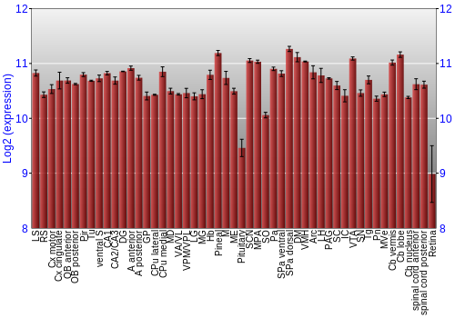 Expression graph