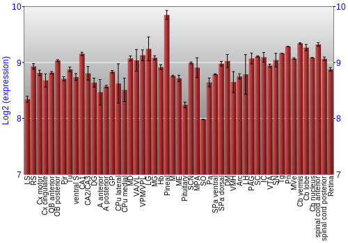 Expression graph