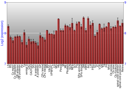 Expression graph