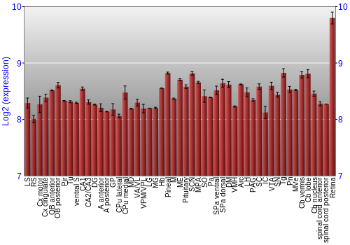 Expression graph