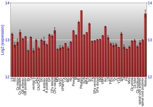 Expression graph