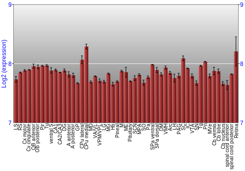 Expression graph