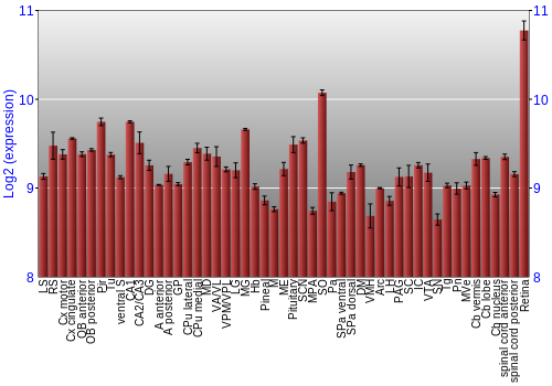Expression graph