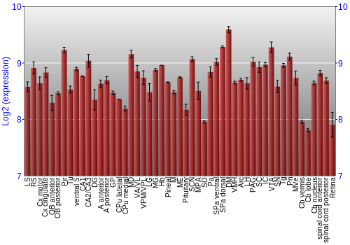 Expression graph