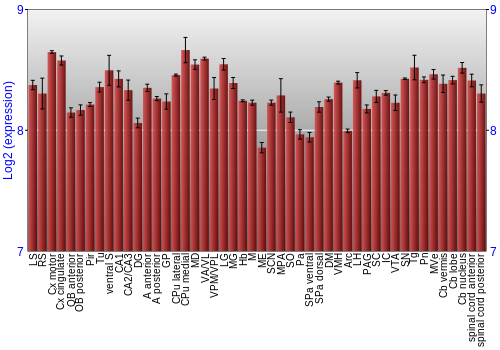 Multi-state expression graph