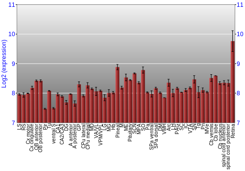 Expression graph