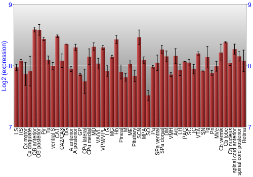 Expression graph