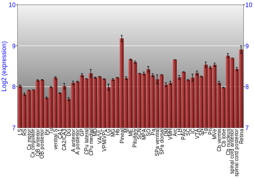 Expression graph