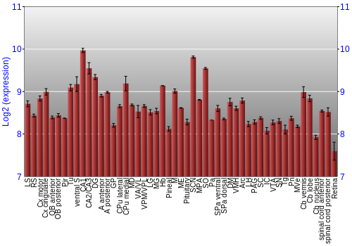 Expression graph