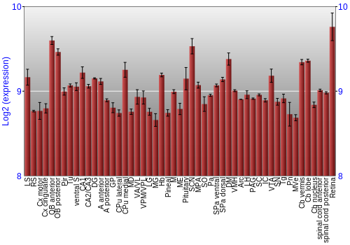 Expression graph