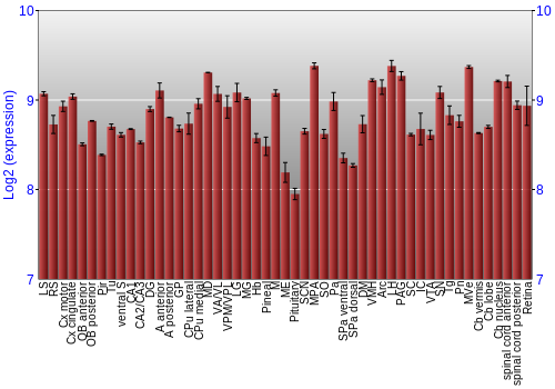 Expression graph