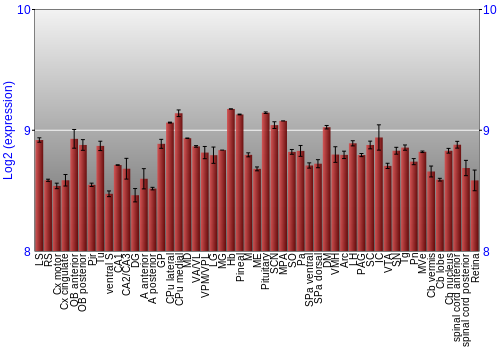 Expression graph