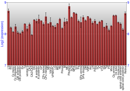 Expression graph