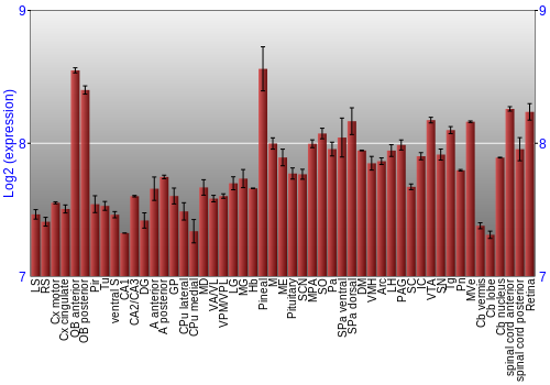 Expression graph